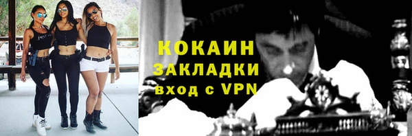 гашик Белокуриха