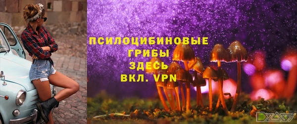гашик Белокуриха