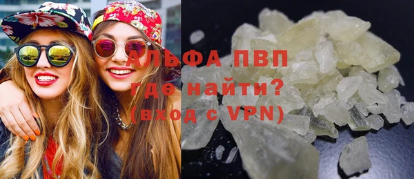 гашик Белокуриха